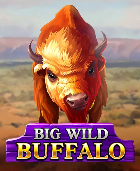 Play Big Wild Buffalo at Sun Palace Casino